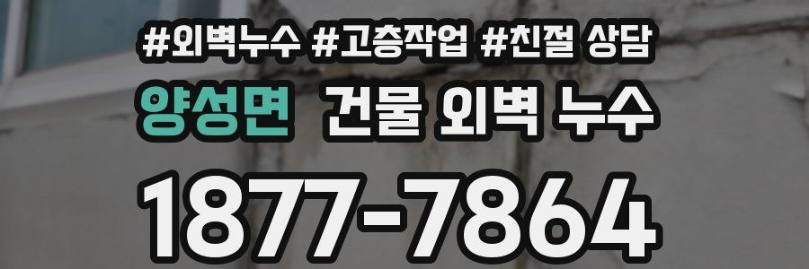 양성면 건물 외벽 누수