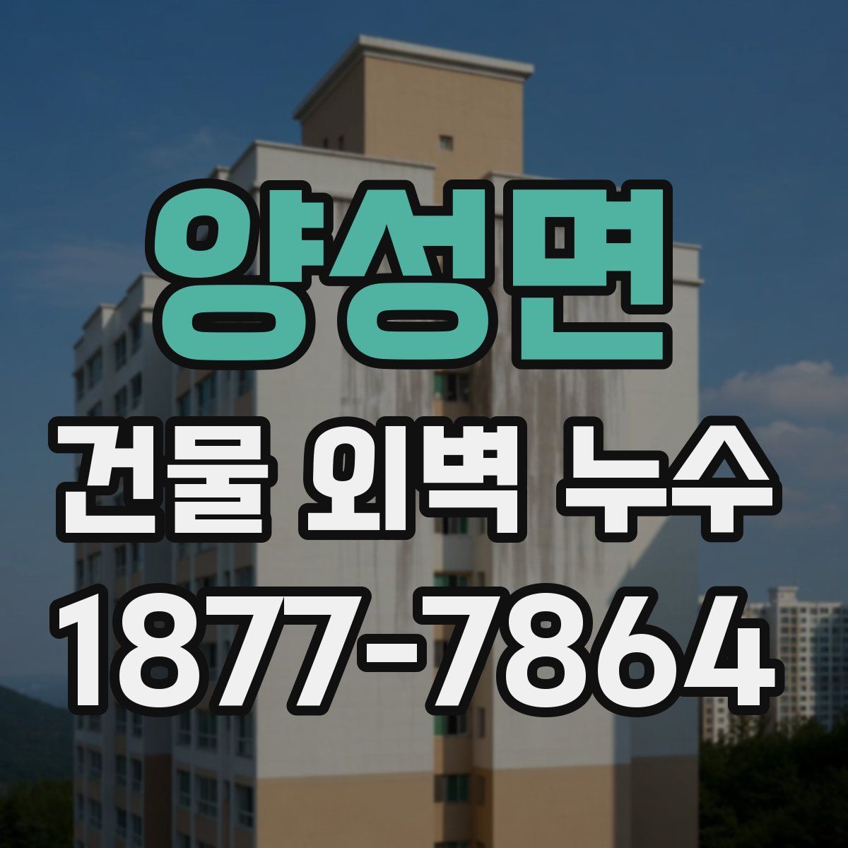 양성면 건물 외벽 누수