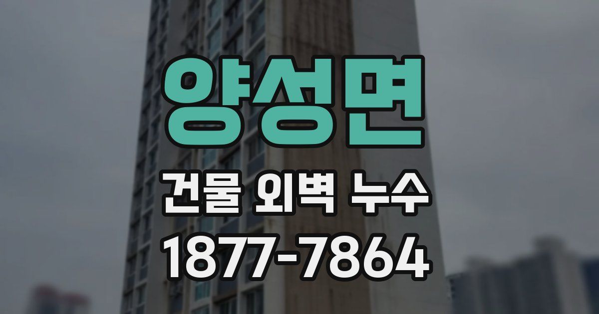 양성면 건물 외벽 누수