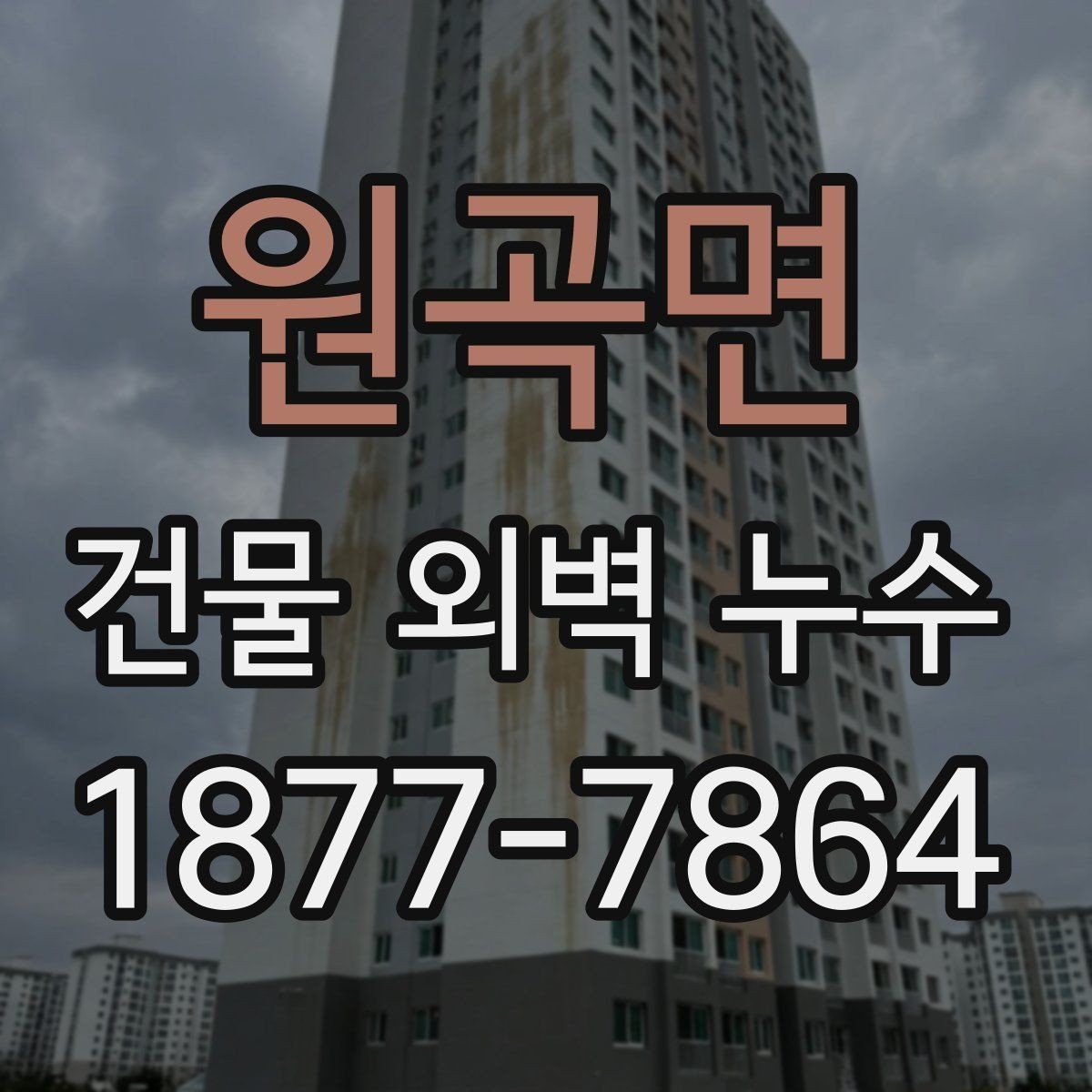 원곡면 건물 외벽 누수 보수 전 견적 비교 기준