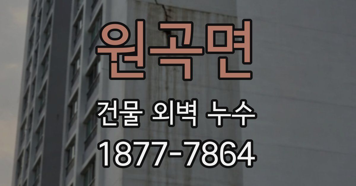 원곡면 건물 외벽 누수