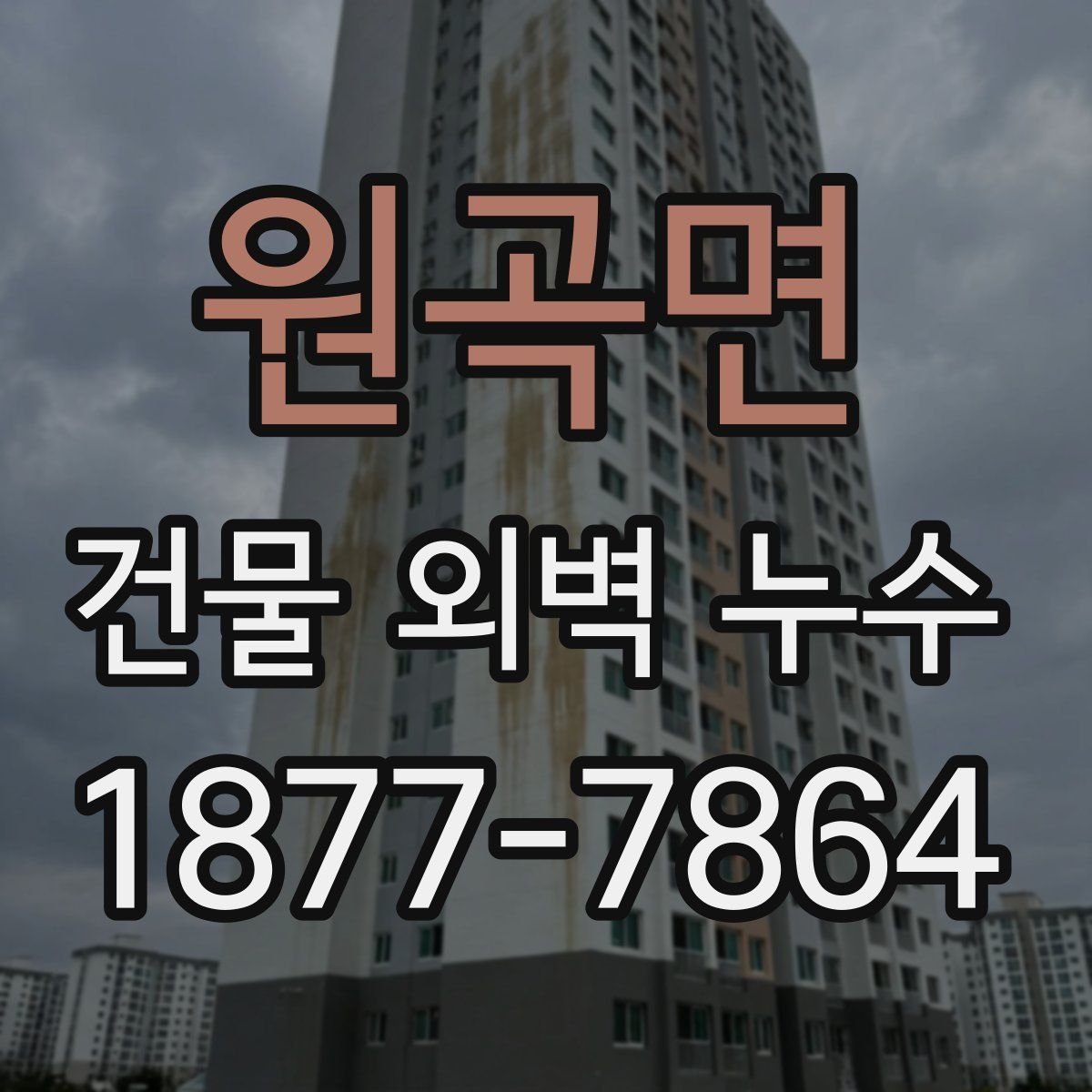 원곡면 건물 외벽 누수
