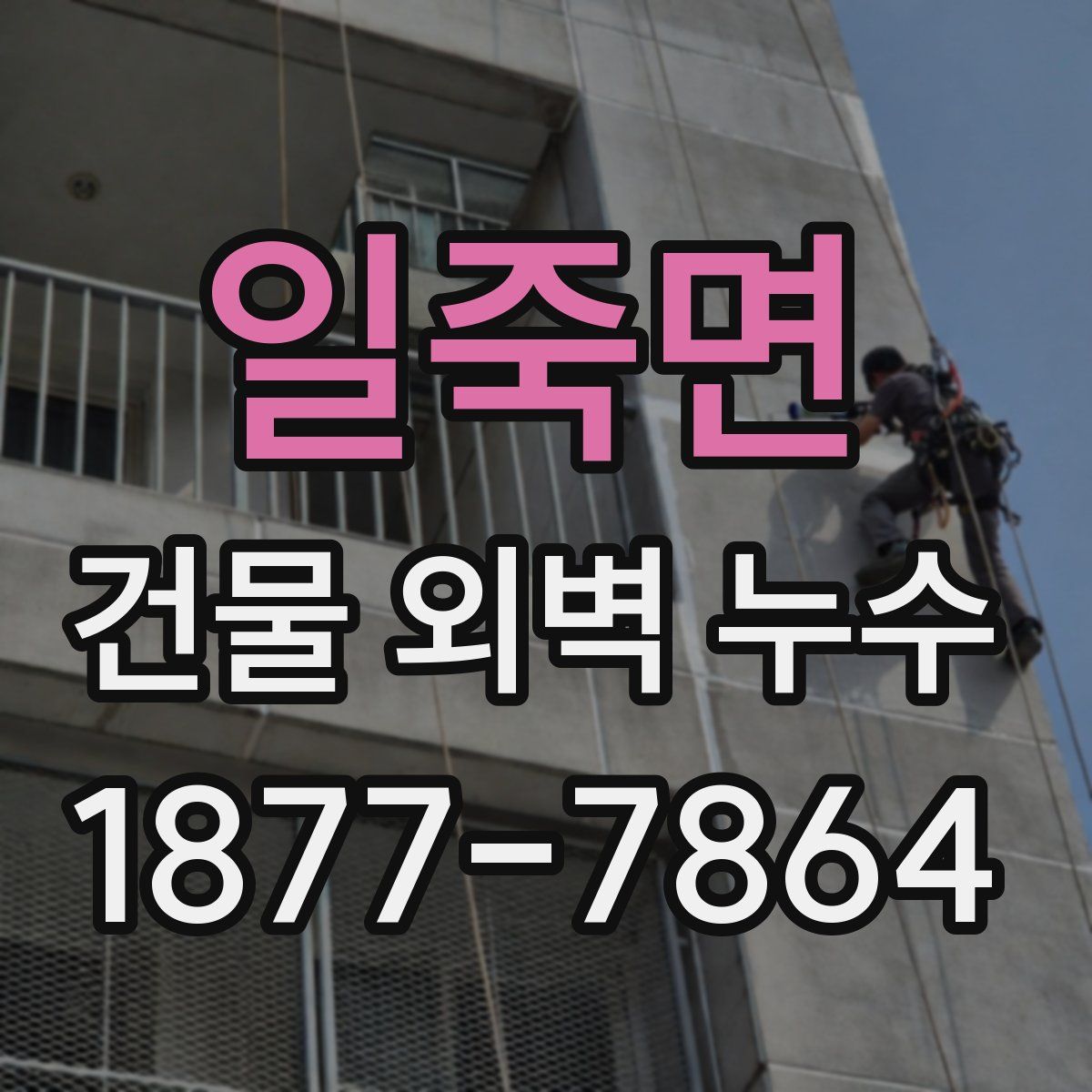일죽면 건물 외벽 누수