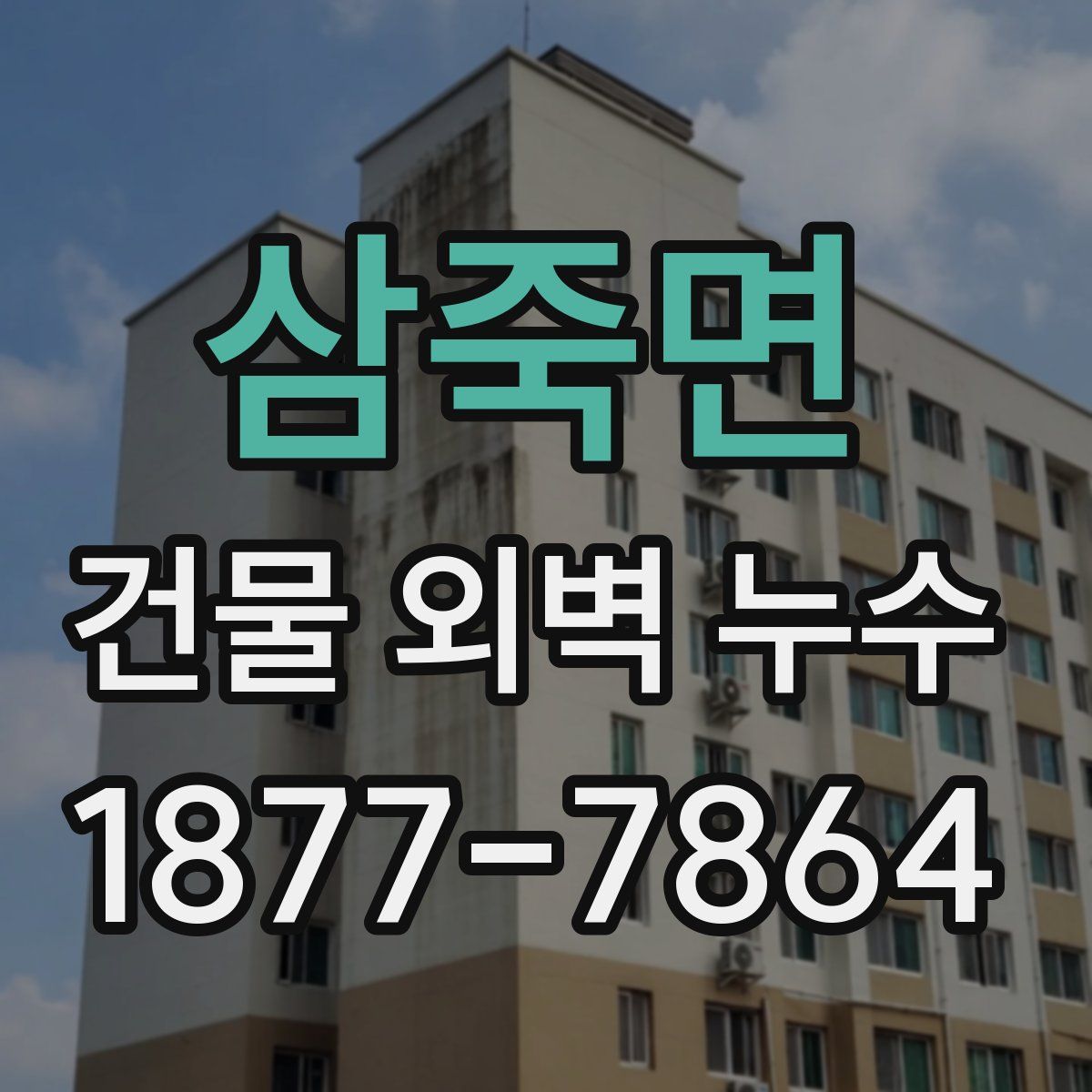 삼죽면 건물 외벽 누수