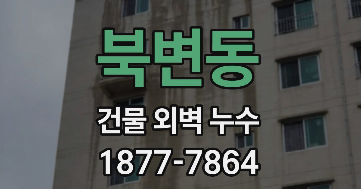 북변동 건물 외벽 누수