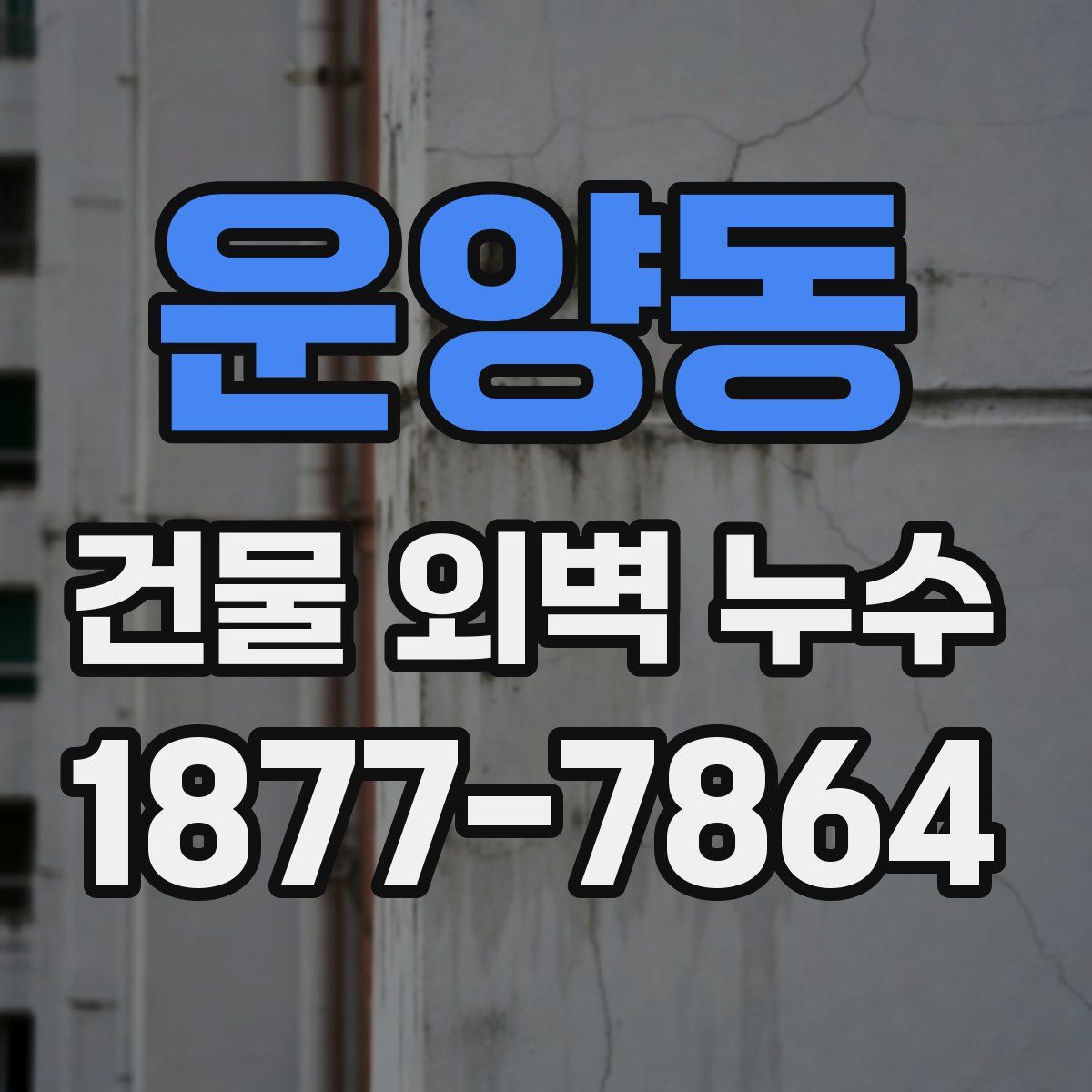 운양동 건물 외벽 누수