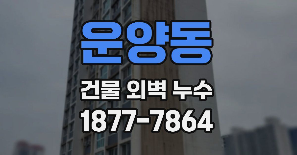 운양동 건물 외벽 누수
