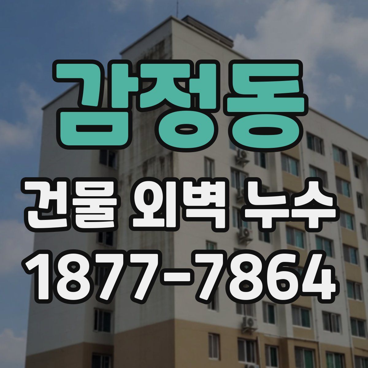 감정동 건물 외벽 누수