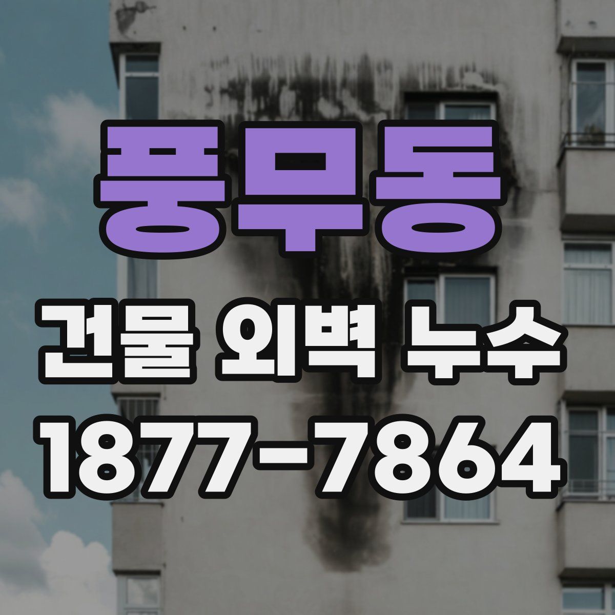 풍무동 건물 외벽 누수