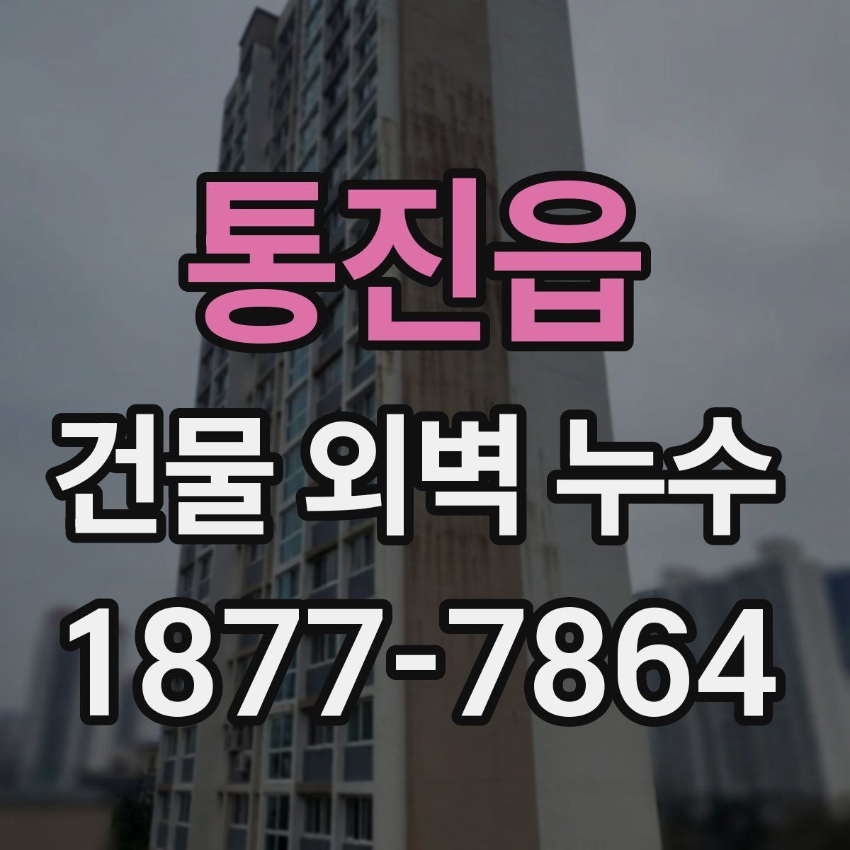 통진읍 건물 외벽 누수 원인 찾는 현장 점검 팁