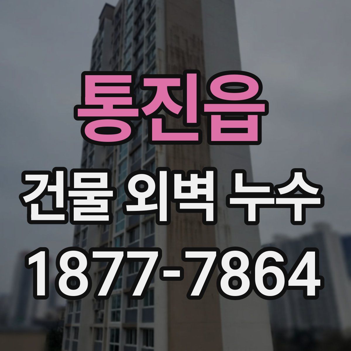 통진읍 건물 외벽 누수