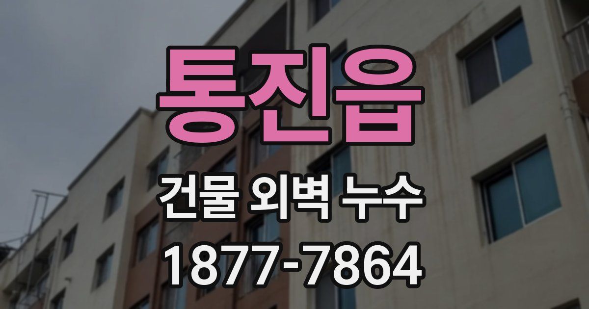 통진읍 건물 외벽 누수