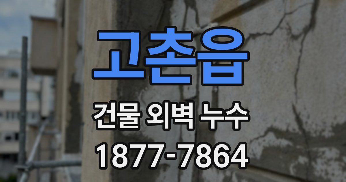 고촌읍 건물 외벽 누수