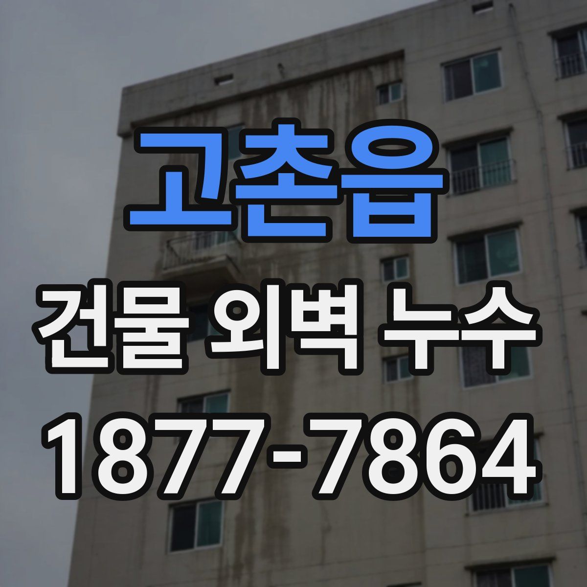 고촌읍 건물 외벽 누수