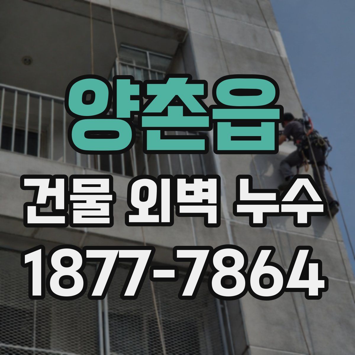 양촌읍 건물 외벽 누수