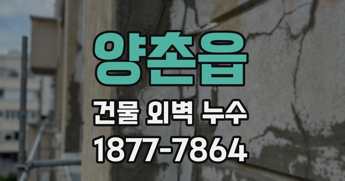 양촌읍 건물 외벽 누수