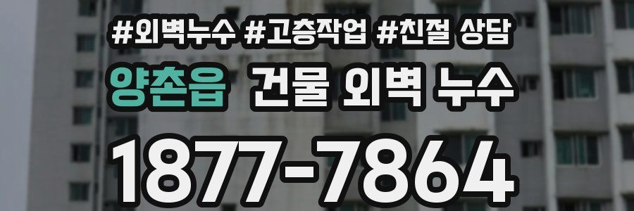 양촌읍 건물 외벽 누수