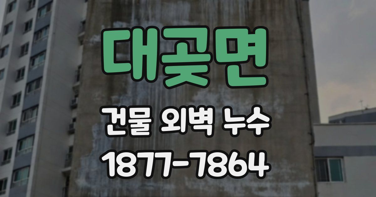 대곶면 건물 외벽 누수