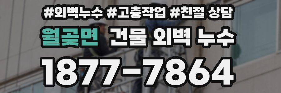 월곶면 건물 외벽 누수