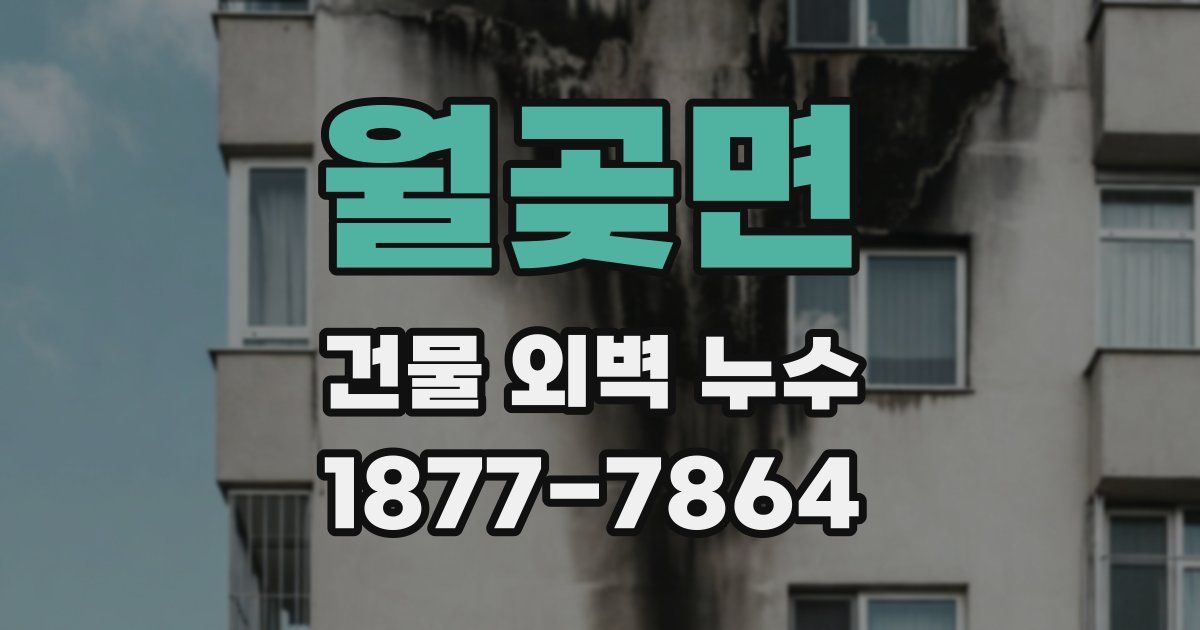 월곶면 건물 외벽 누수