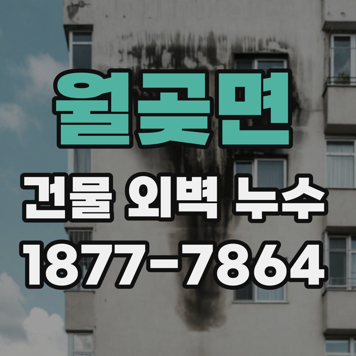 월곶면 건물 외벽 누수