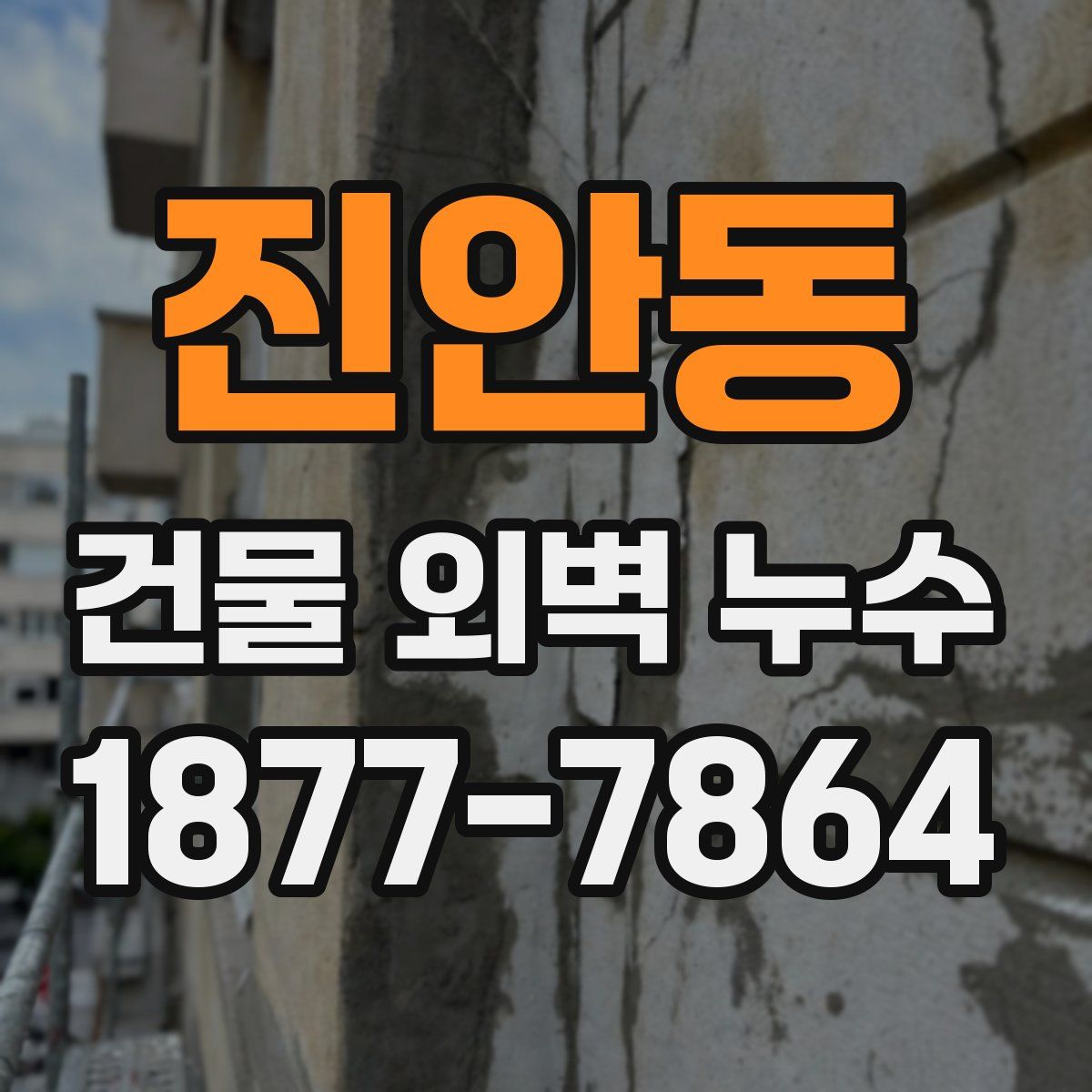 진안동 건물 외벽 누수