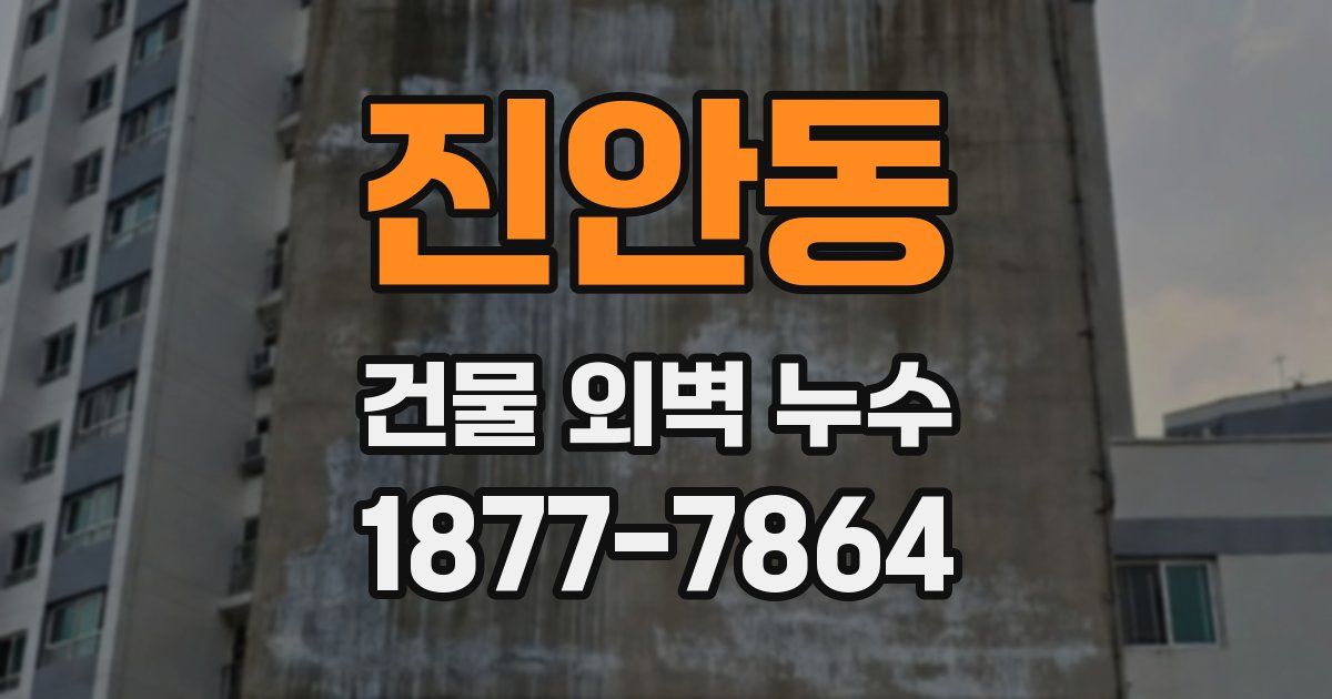 진안동 건물 외벽 누수