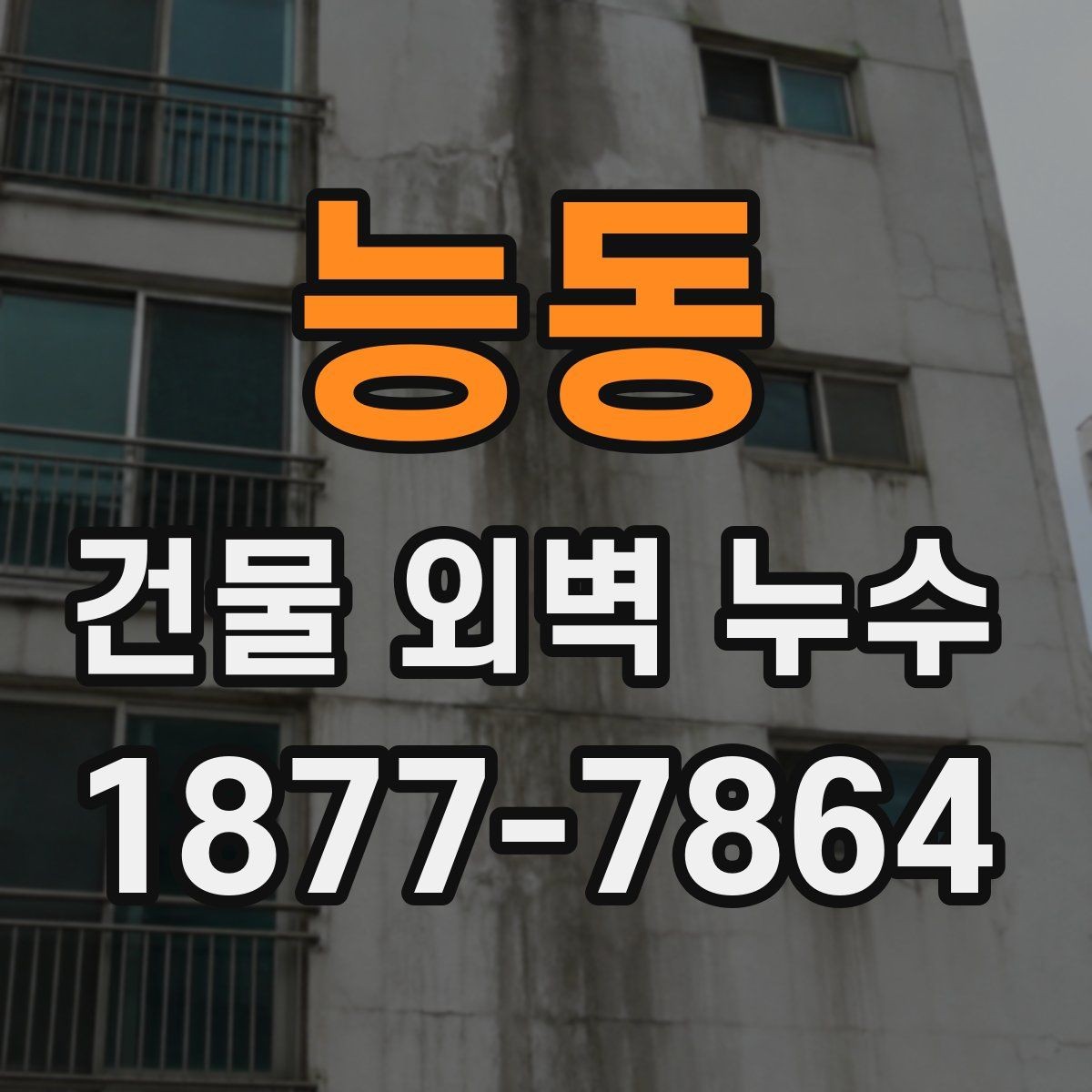 능동 건물 외벽 누수 발생 원인을 줄이는 유지관리