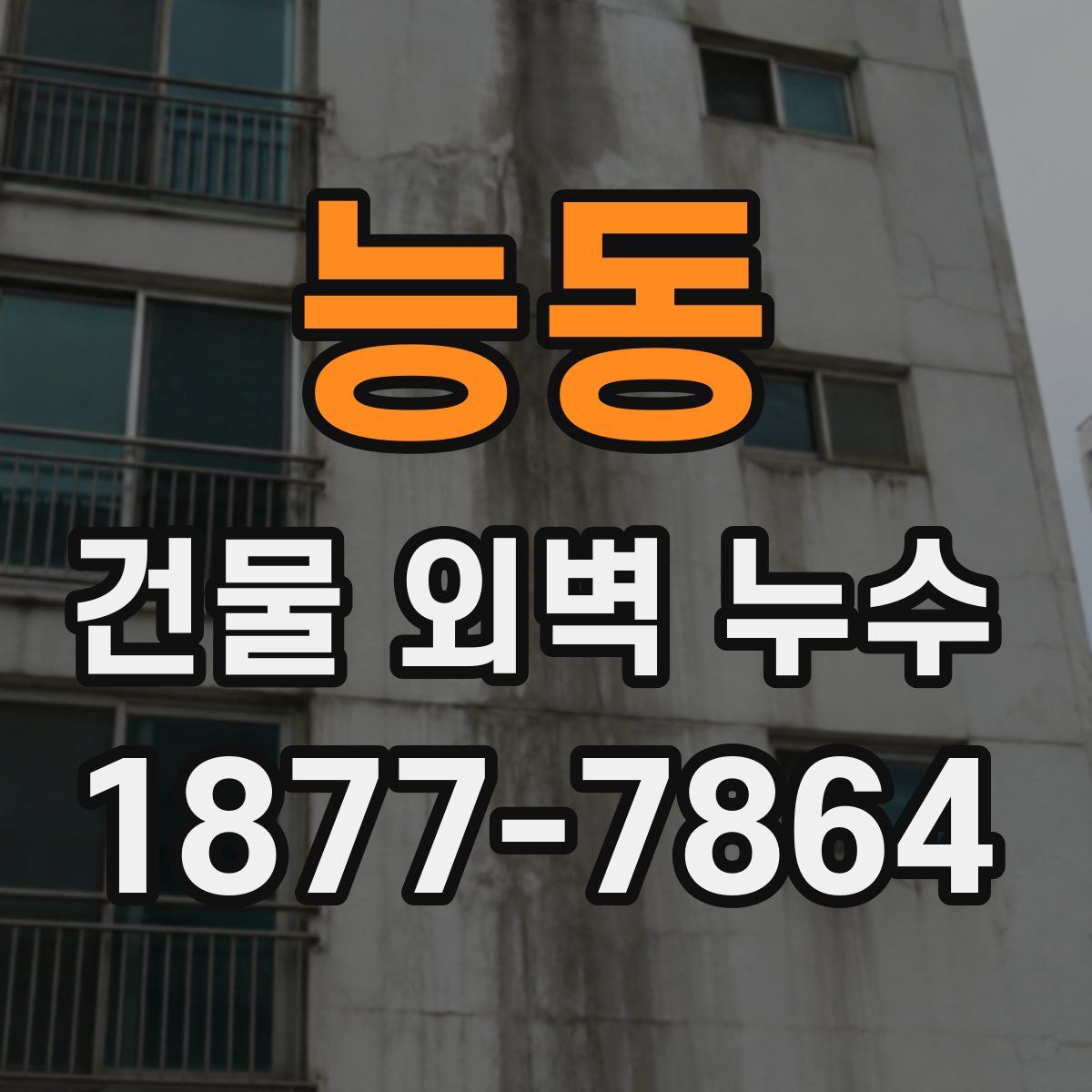 능동 건물 외벽 누수