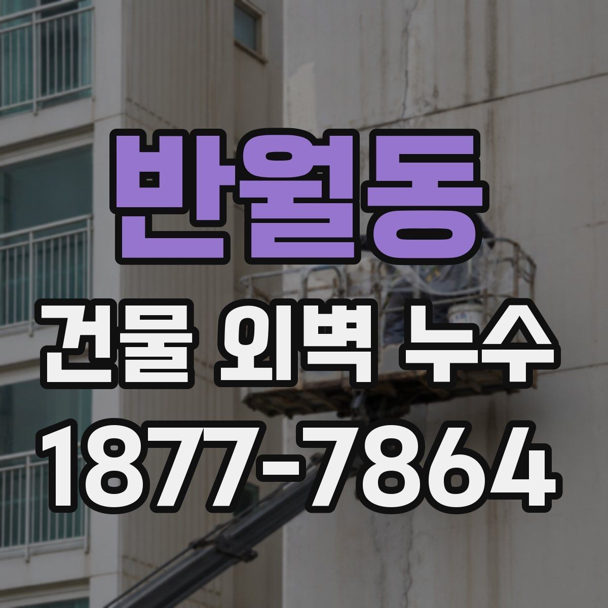반월동 건물 외벽 누수 정밀 점검이 필요한 징후