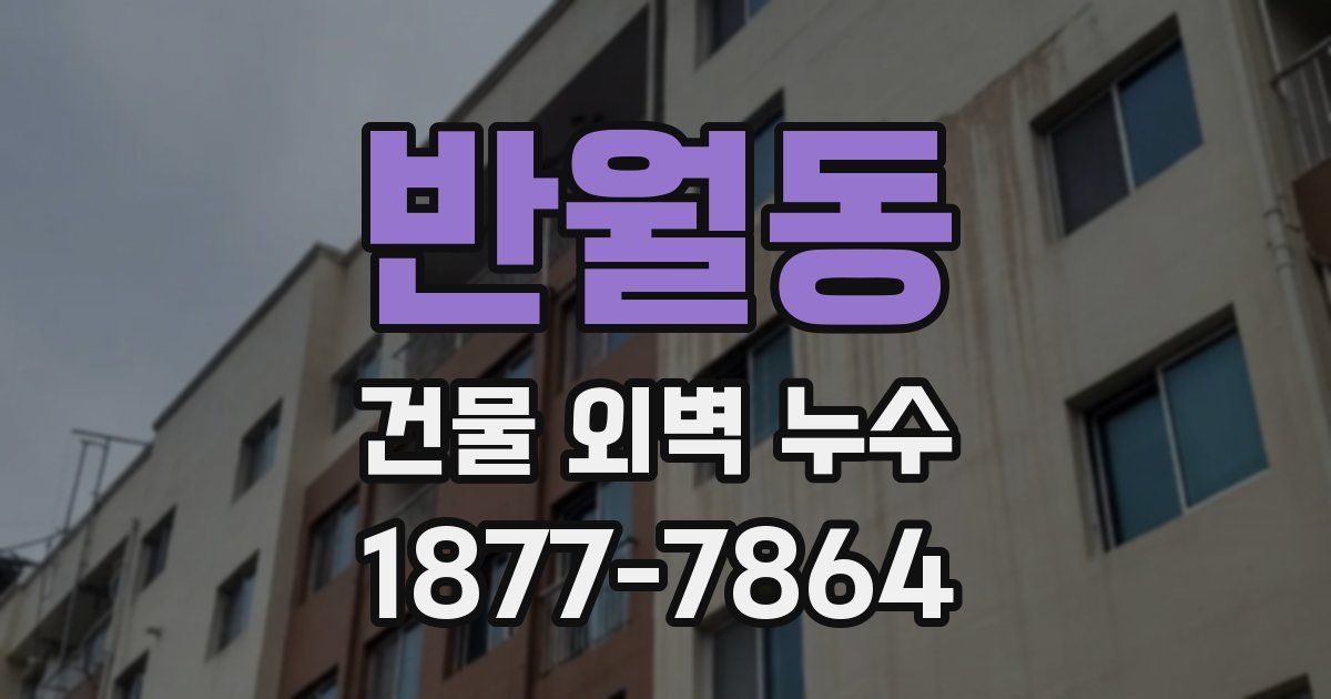 반월동 건물 외벽 누수