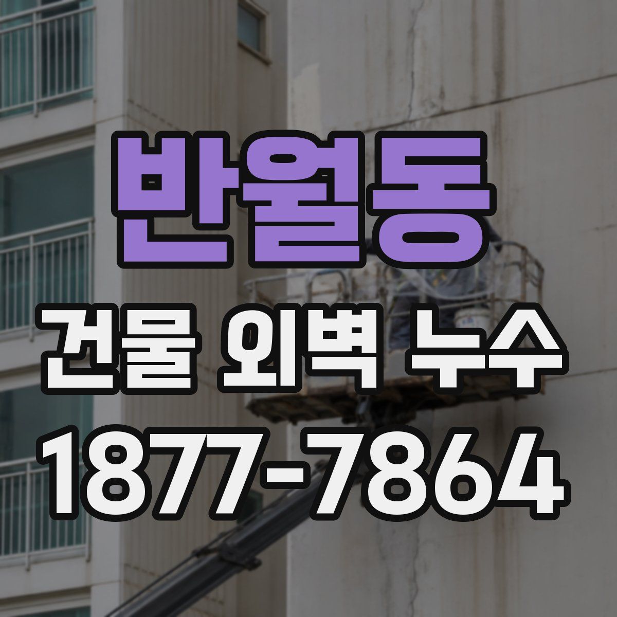 반월동 건물 외벽 누수