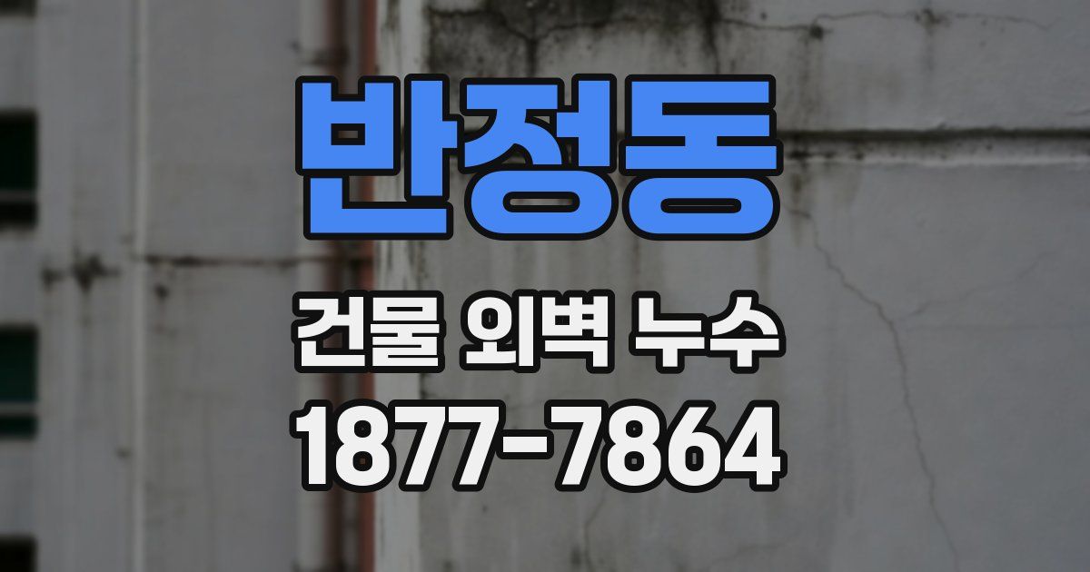 반정동 건물 외벽 누수