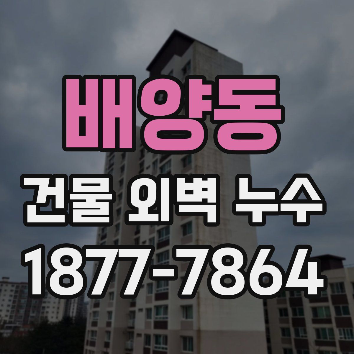 배양동 건물 외벽 누수