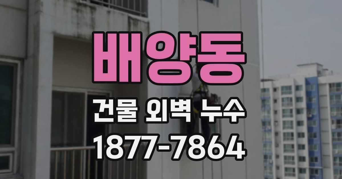 배양동 건물 외벽 누수