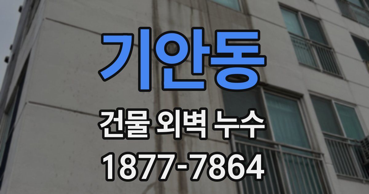 기안동 건물 외벽 누수