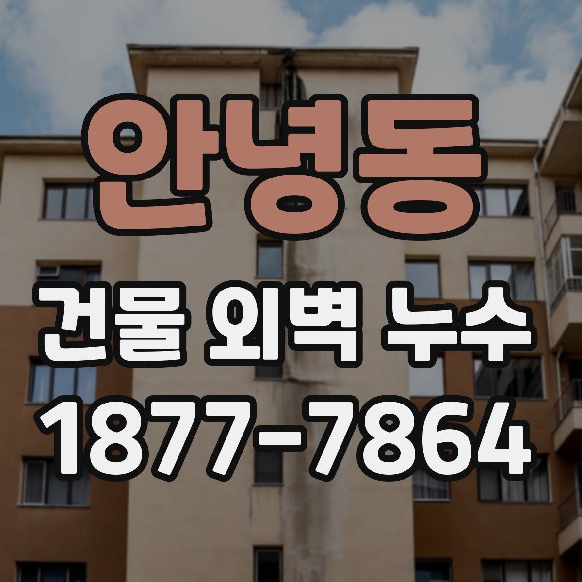 안녕동 건물 외벽 누수