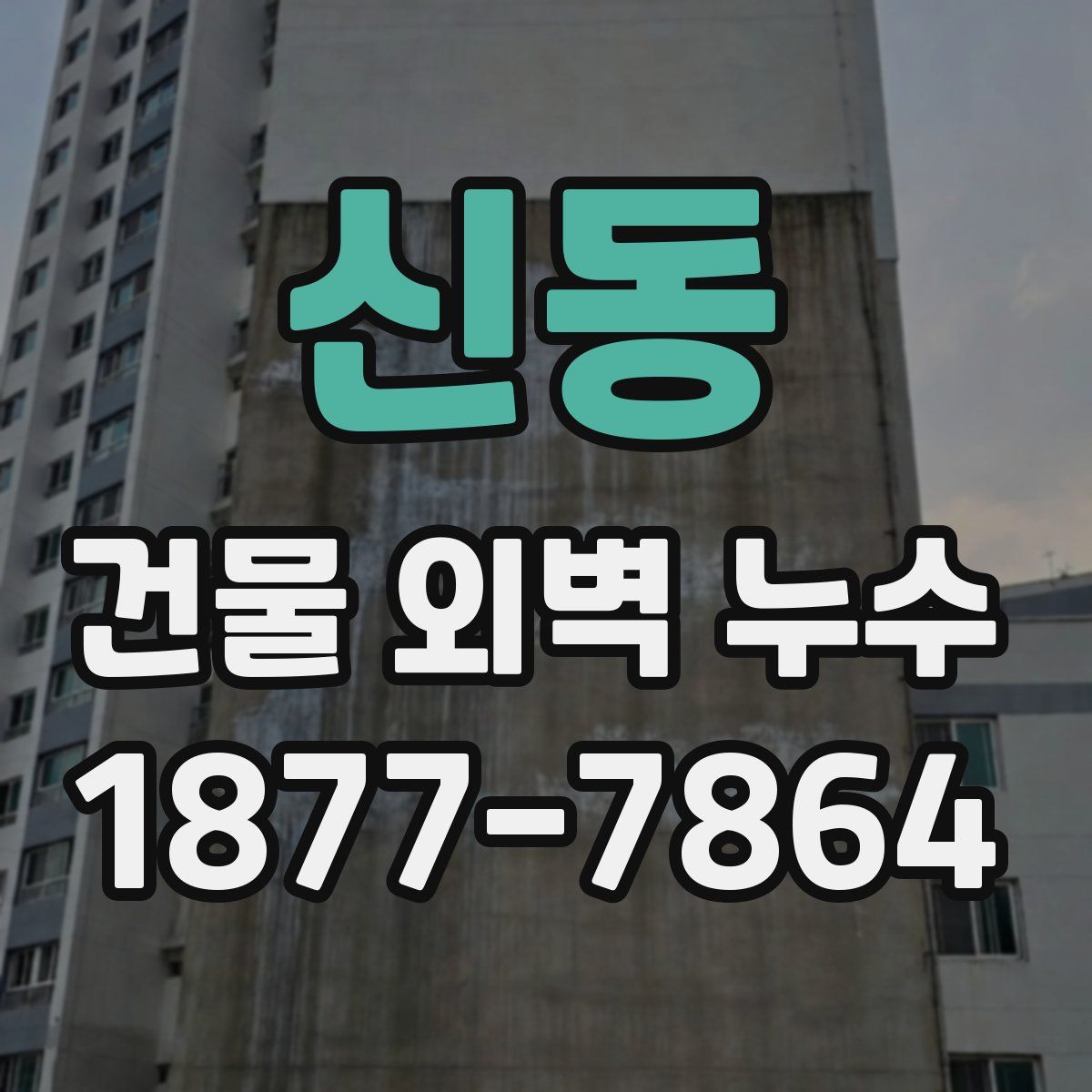 신동 건물 외벽 누수