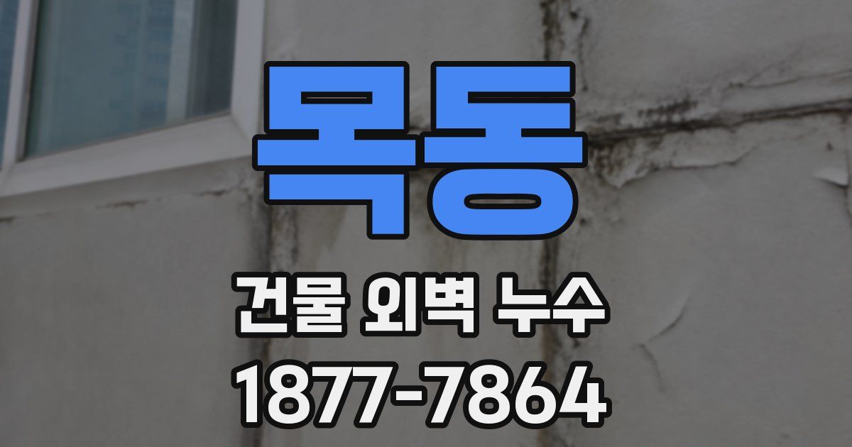 목동 건물 외벽 누수