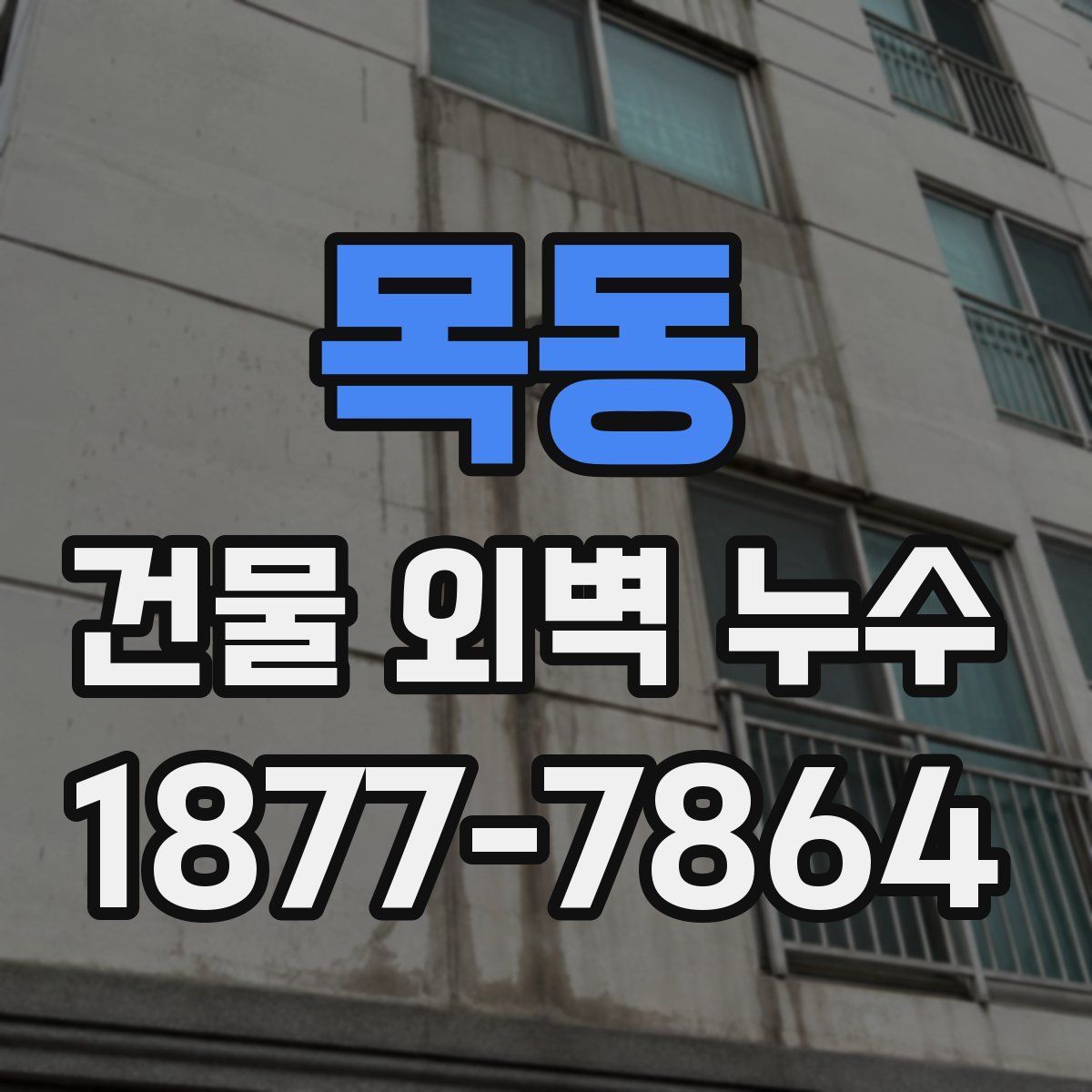 목동 건물 외벽 누수