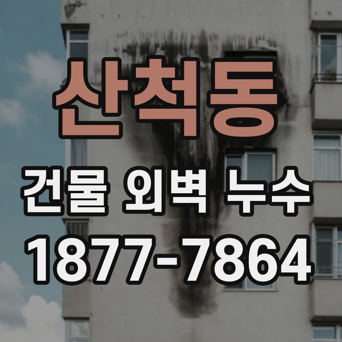 산척동 건물 외벽 누수