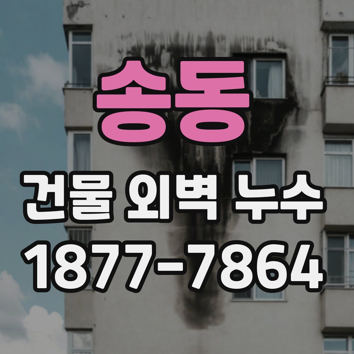 송동 건물 외벽 누수