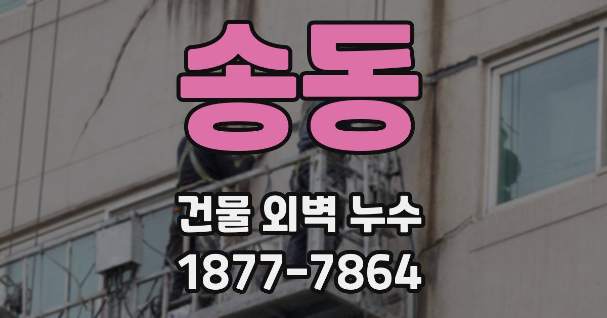 송동 건물 외벽 누수