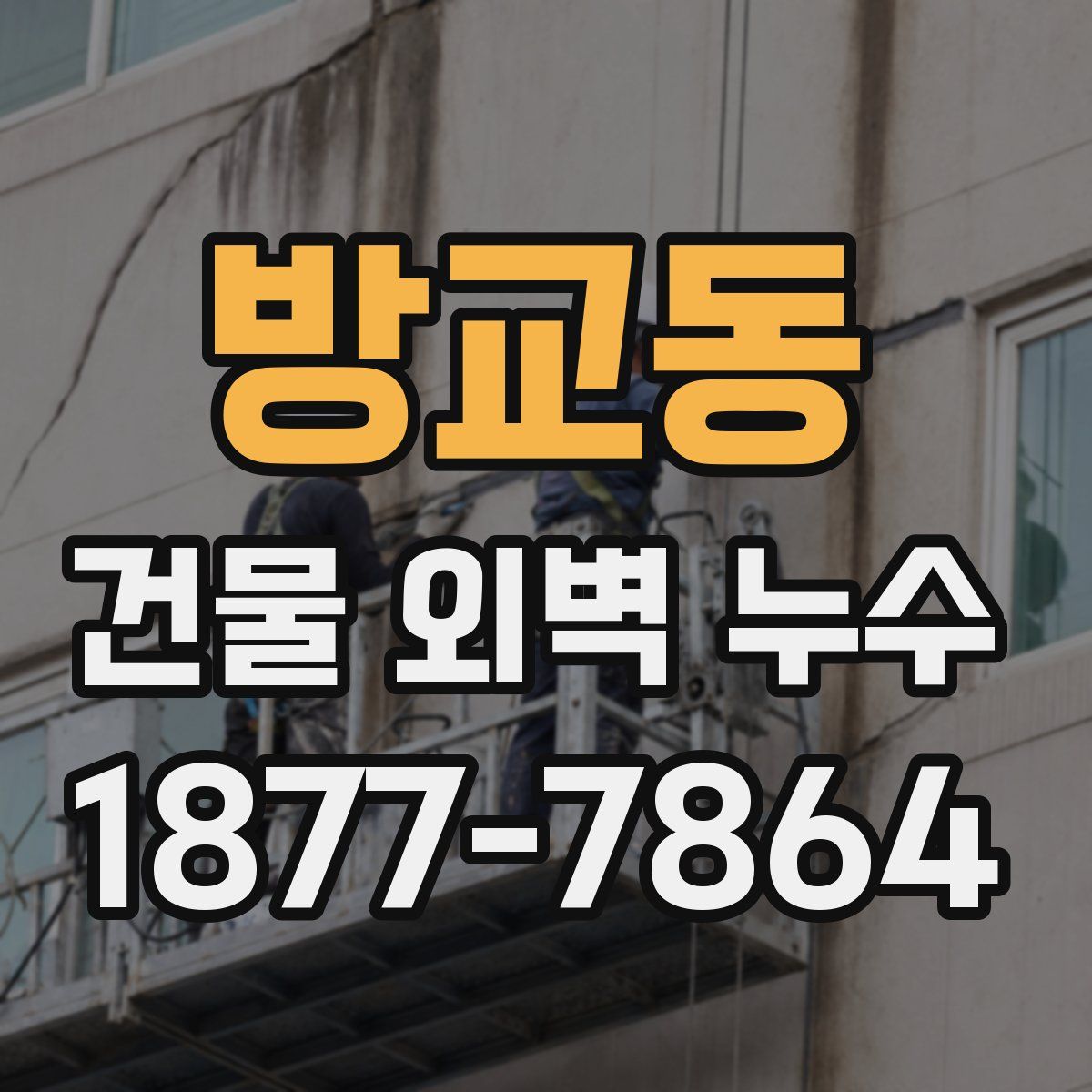 방교동 건물 외벽 누수