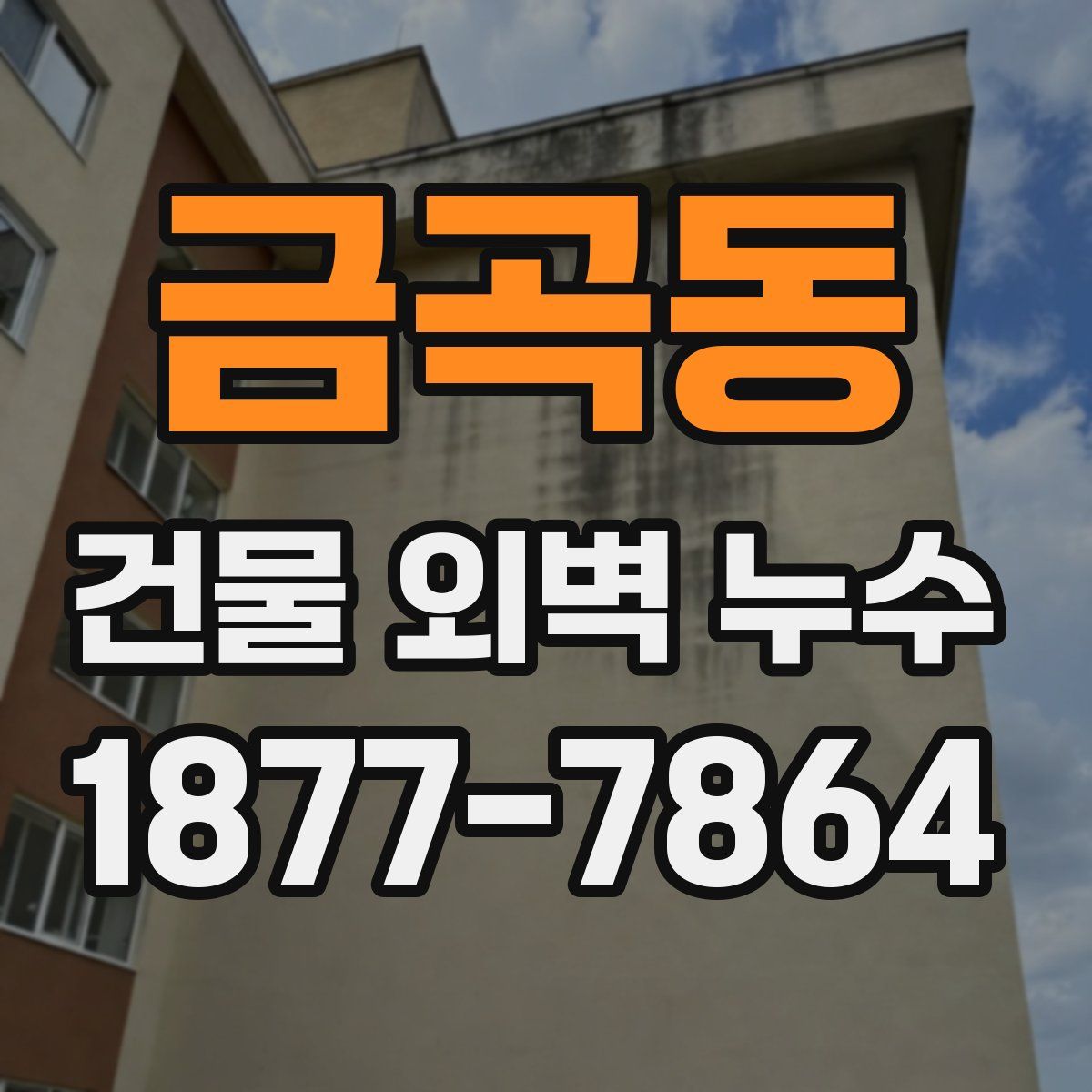 금곡동 건물 외벽 누수