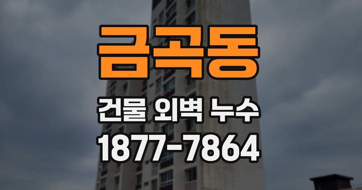 금곡동 건물 외벽 누수