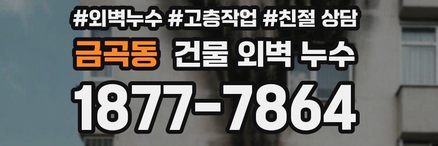 금곡동 건물 외벽 누수
