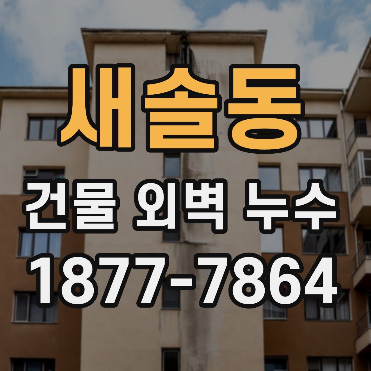 새솔동 건물 외벽 누수