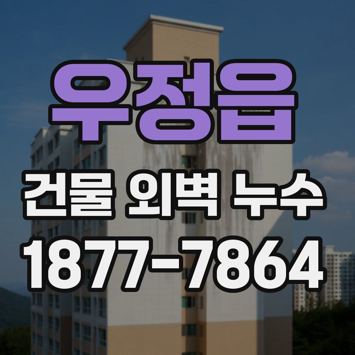 우정읍 건물 외벽 누수