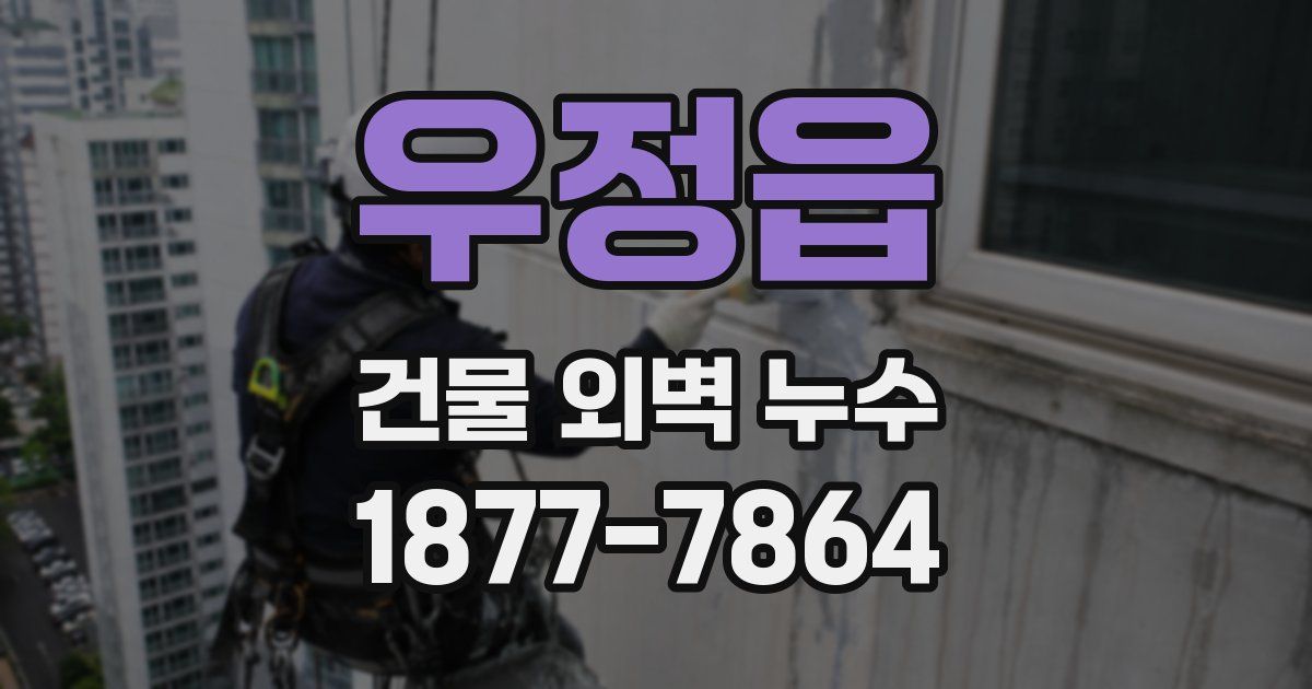 우정읍 건물 외벽 누수